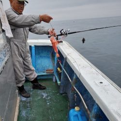 芳陽丸 釣果