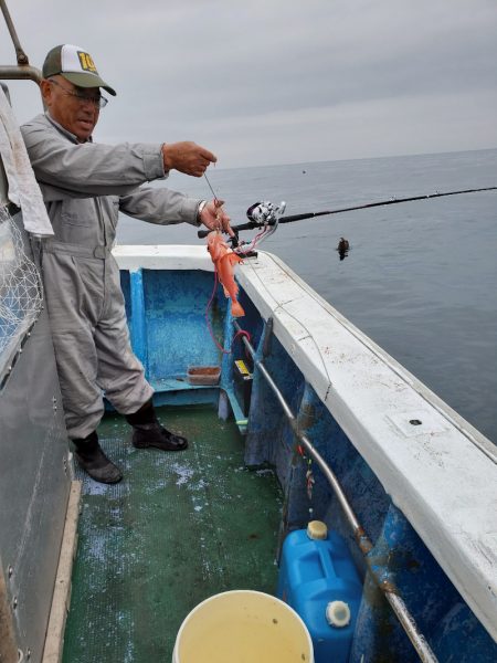 芳陽丸 釣果