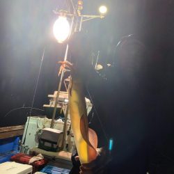 海龍丸（石川） 釣果