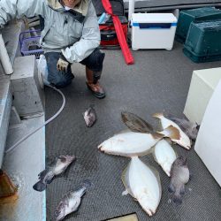 シーランチ 釣果