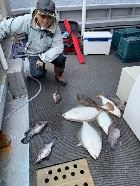 シーランチ 釣果