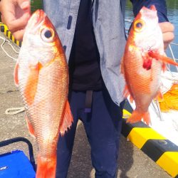 ブルドック 釣果