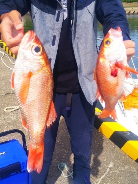 ブルドック 釣果