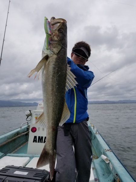 アマテラス 釣果