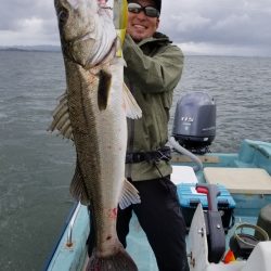 アマテラス 釣果