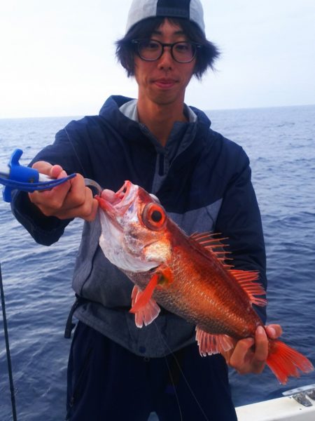 ブルドック 釣果