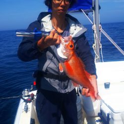 ブルドック 釣果