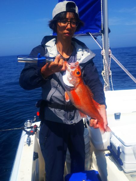 ブルドック 釣果