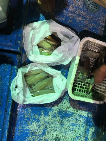 海龍丸(石川) 釣果