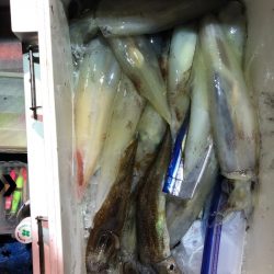 海龍丸（石川） 釣果