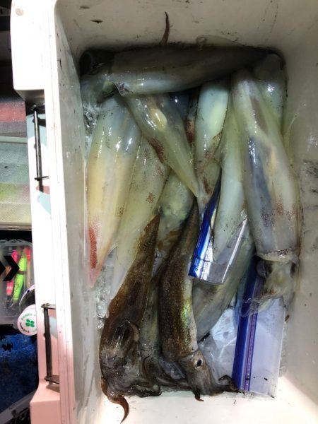 海龍丸（石川） 釣果