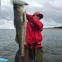 アマテラス 釣果