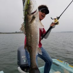 アマテラス 釣果