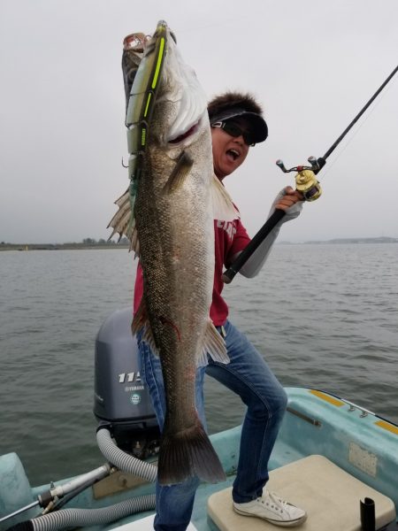 アマテラス 釣果