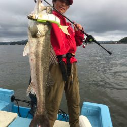 アマテラス 釣果