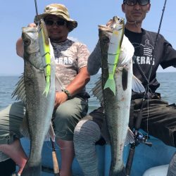 アマテラス 釣果