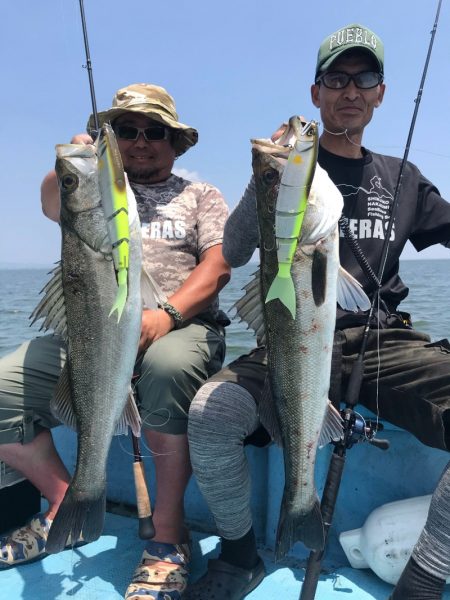 アマテラス 釣果