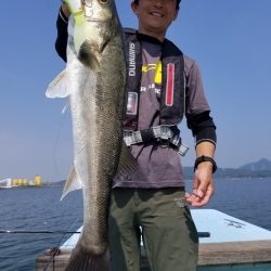 アマテラス 釣果