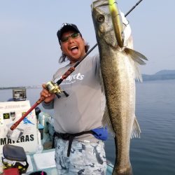 アマテラス 釣果