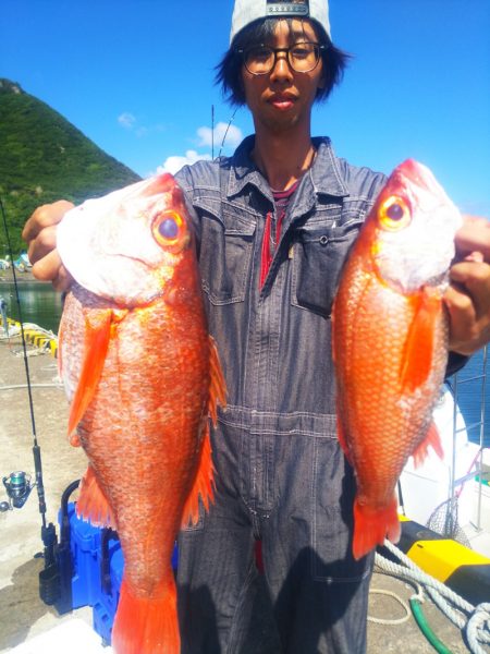 ブルドック 釣果