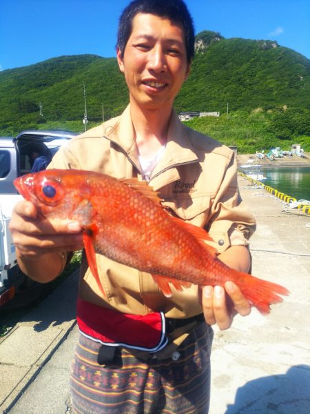 ブルドック 釣果