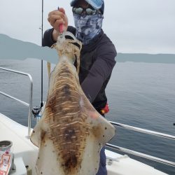 ソルトウォーターガイドフレンズ 釣果