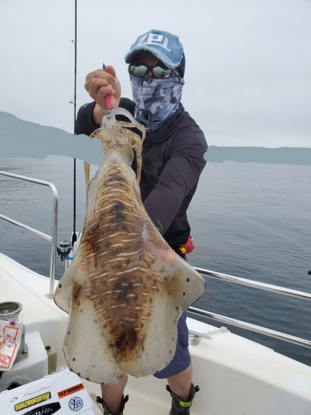 ソルトウォーターガイドフレンズ 釣果