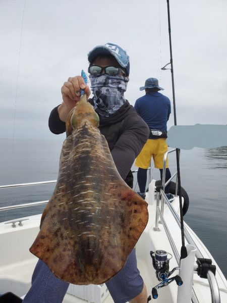 ソルトウォーターガイドフレンズ 釣果