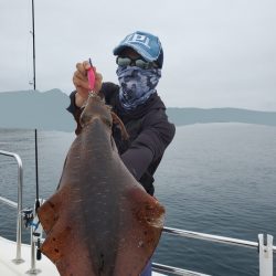 ソルトウォーターガイドフレンズ 釣果