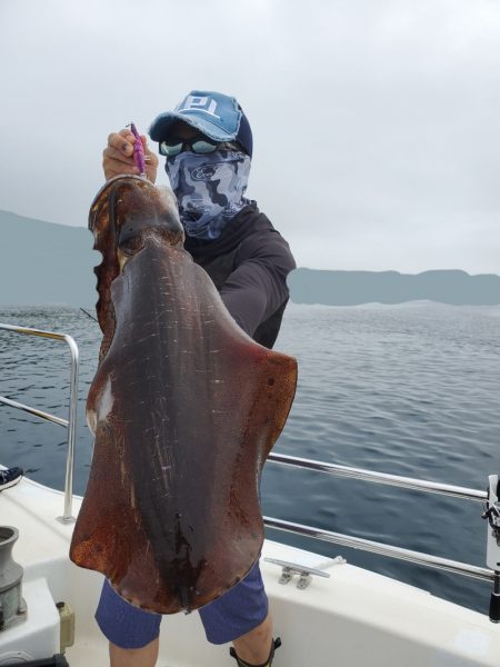 ソルトウォーターガイドフレンズ 釣果