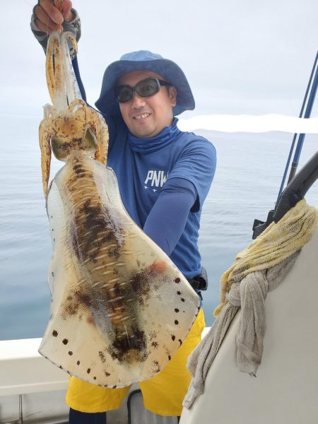 ソルトウォーターガイドフレンズ 釣果