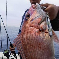 光生丸 釣果