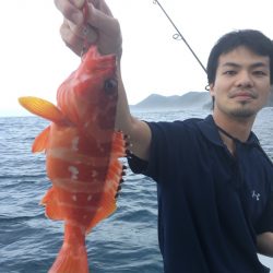 渡船屋たにぐち 釣果