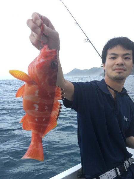 渡船屋たにぐち 釣果