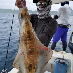 ソルトウォーターガイドフレンズ 釣果