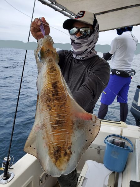 ソルトウォーターガイドフレンズ 釣果