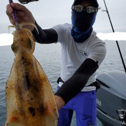 ソルトウォーターガイドフレンズ 釣果