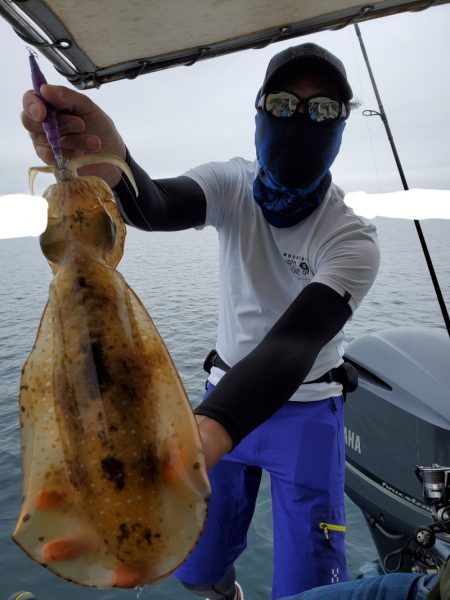 ソルトウォーターガイドフレンズ 釣果