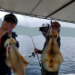 ソルトウォーターガイドフレンズ 釣果