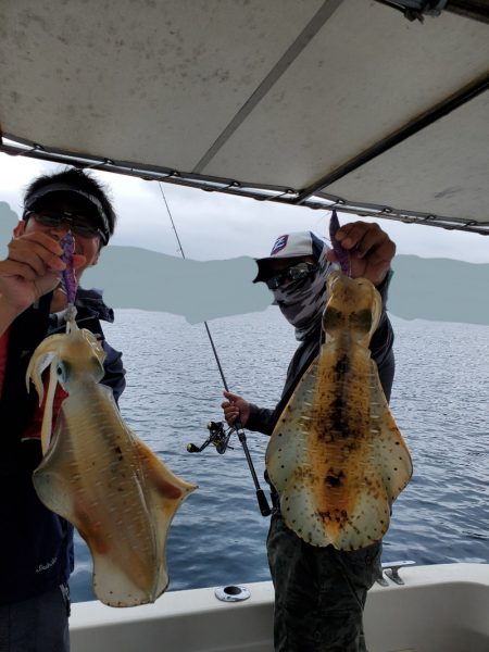 ソルトウォーターガイドフレンズ 釣果