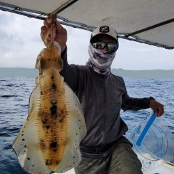 ソルトウォーターガイドフレンズ 釣果