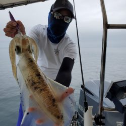 ソルトウォーターガイドフレンズ 釣果