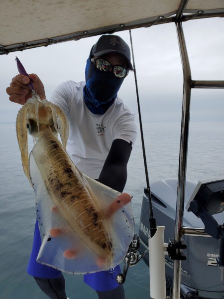 ソルトウォーターガイドフレンズ 釣果