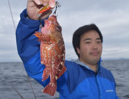 渡船屋たにぐち 釣果