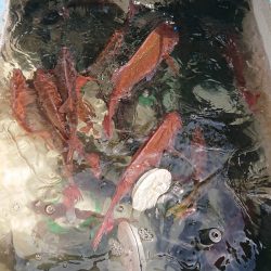 シースナイパー海龍 釣果