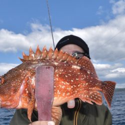 渡船屋たにぐち 釣果