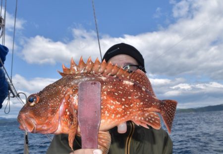 渡船屋たにぐち 釣果