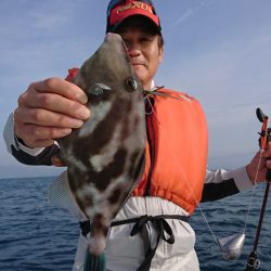 遊漁船 家入 釣果