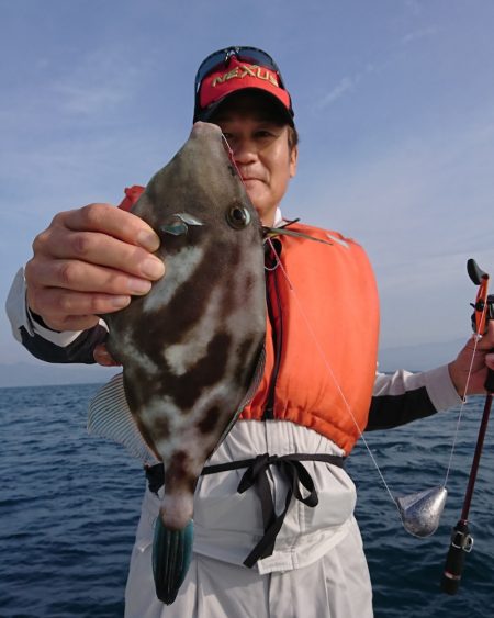 遊漁船 家入 釣果