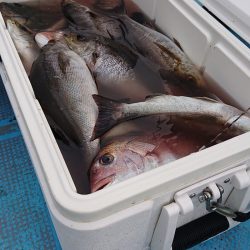 シースナイパー海龍 釣果